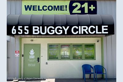 655 Buggy Circle #D - Photo 1
