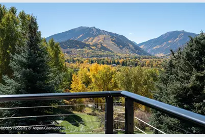 59 Herron Hollow Road, Aspen, CO 81611 - Photo 6