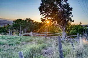 1989 Co Rd 320, Rifle, CO 81650 - Photo 14