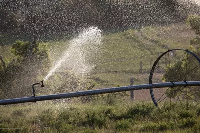 1989 County Road 320, Rifle, CO 81650 - Photo 20