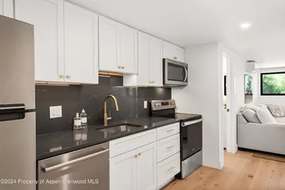 59 Herron Hollow Road, Aspen, CO 81611 - Photo 26