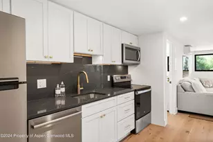 59 Herron Hollow Rd, Aspen, CO 81611 - Photo 26