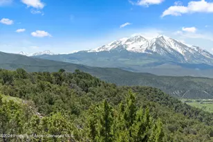 5349 Co Rd 100, Carbondale, CO 81623 - Photo 74