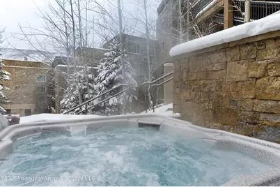 704 S Galena Street, Aspen, CO 81611 - Photo 16