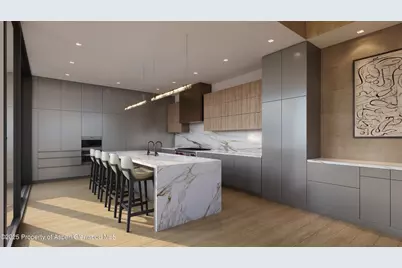 1212 E Hopkins Avenue, Aspen, CO 81611 - Photo 4