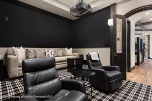 27 Nighthawk Dr, Aspen, CO 81611 - Photo 30
