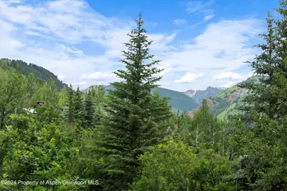209 Larkspur Lane, Aspen, CO 81611 - Photo 36
