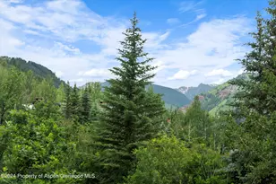 209 Larkspur Ln, Aspen, CO 81611 - Photo 36