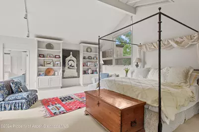 209 Larkspur Lane, Aspen, CO 81611 - Photo 24