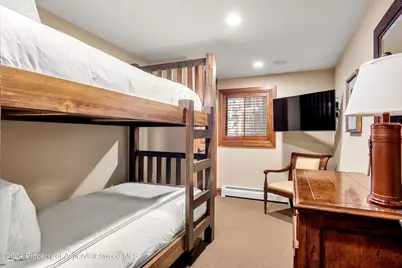 315 S First Street, Aspen, CO 81611 - Photo 28