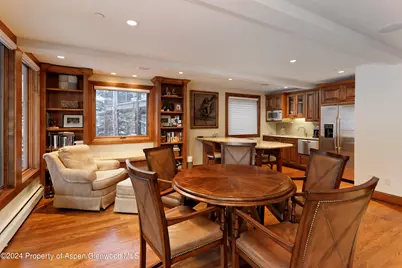 315 S First Street, Aspen, CO 81611 - Photo 18