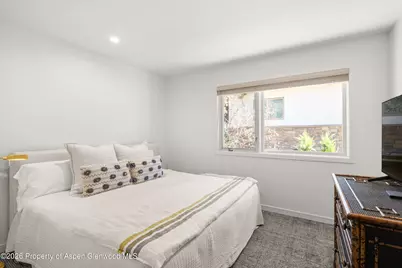 1006 E Hyman Avenue #B, Aspen, CO 81611 - Photo 16