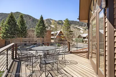 1006 E Hyman Avenue #B, Aspen, CO 81611 - Photo 10