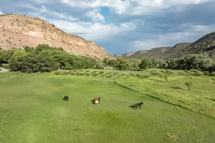 34074 Fruitland Mesa Rd, Crawford, CO 81415 - Photo 16