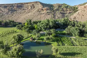 34074 Fruitland Mesa Rd, Crawford, CO 81415 - Photo 14