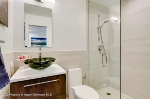 700 W Hopkins Ave, Aspen, CO 81611 - Photo 6