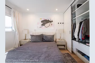 700 W Hopkins Avenue #6, Aspen, CO 81611 - Photo 16