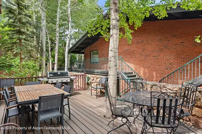 731 S Mill Street #2C, Aspen, CO 81611 - Photo 12
