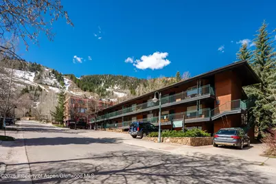 731 S Mill Street #2C, Aspen, CO 81611 - Photo 16