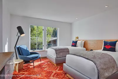 550 S Spring Street #F8-10, Aspen, CO 81611 - Photo 8