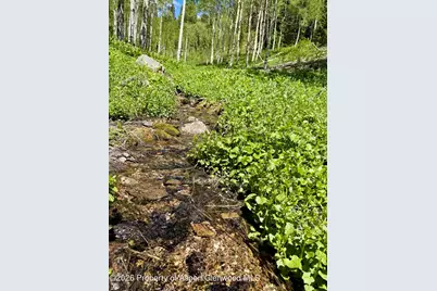 N/A F S 602 Road, Glenwood Springs, CO 81601 - Photo 10