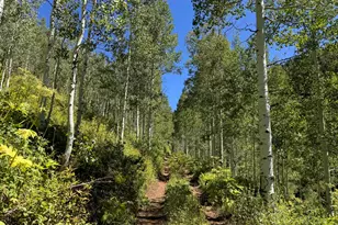 N/A F S 602 Road, Glenwood Springs, CO 81601 - Photo 1