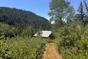 N/A F S 602 Road, Glenwood Springs, CO 81601 - Photo 6