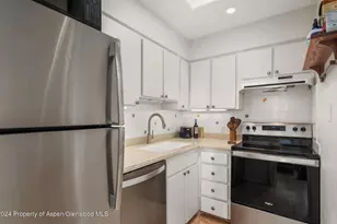 108 W Hyman Ave, Aspen, CO 81611 - Photo 10