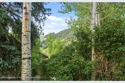 108 W Hyman Avenue #2, Aspen, CO 81611 - Photo 18