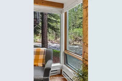 1034 E Cooper Avenue #16, Aspen, CO 81611 - Photo 4