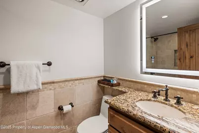 1034 E Cooper Avenue #16, Aspen, CO 81611 - Photo 16