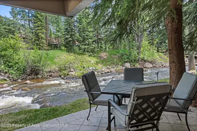 1034 E Cooper Avenue #16, Aspen, CO 81611 - Photo 10