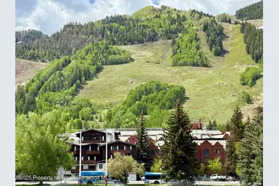 301 E Hyman Avenue #205 (Wks 21,22,38), Aspen, CO 81611 - Photo 14