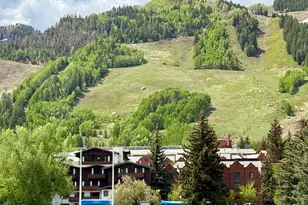 301 E Hyman Ave, Aspen, CO 81611 - Photo 14