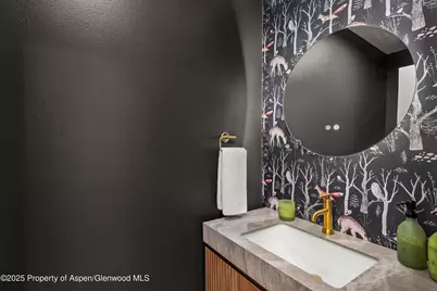 262 Eastwood Drive, Aspen, CO 81611 - Photo 22