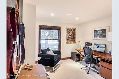 602 W Hallam Street, Aspen, CO 81611 - Photo 28