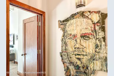 602 W Hallam Street, Aspen, CO 81611 - Photo 22