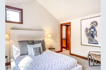 602 W Hallam Street, Aspen, CO 81611 - Photo 24