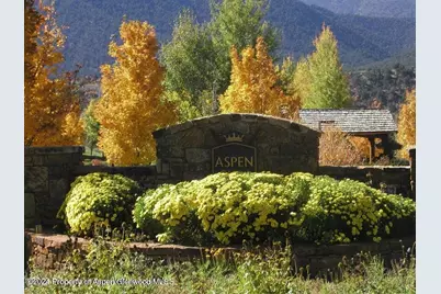 589 Saddleback Road, Carbondale, CO 81623 - Photo 10