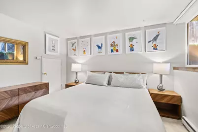217 W Bleeker Street, Aspen, CO 81611 - Photo 10
