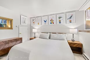 217 W Bleeker St, Aspen, CO 81611 - Photo 10