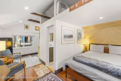 217 W Bleeker Street, Aspen, CO 81611 - Photo 14