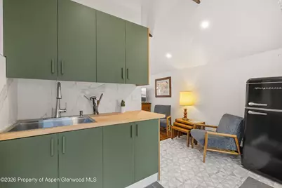217 W Bleeker Street, Aspen, CO 81611 - Photo 16