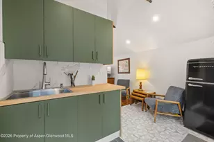 217 W Bleeker St, Aspen, CO 81611 - Photo 16