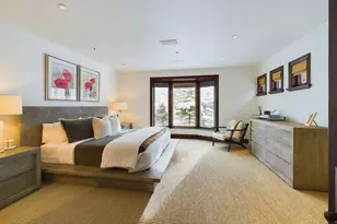 910 E Cooper Ave, Aspen, CO 81611 - Photo 16