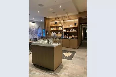 130 Wood Road #257/259, Snowmass Village, CO 81615 - Photo 28