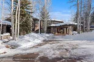 300 Eagle Pines Dr, Aspen, CO 81611 - Photo 2