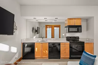 300 Eagle Pines Drive, Aspen, CO 81611 - Photo 32