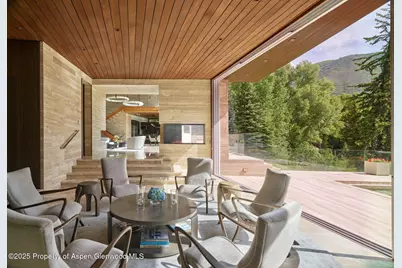 102 Wood Duck Lane, Aspen, CO 81611 - Photo 8