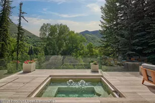 102 Wood Duck Ln, Aspen, CO 81611 - Photo 10